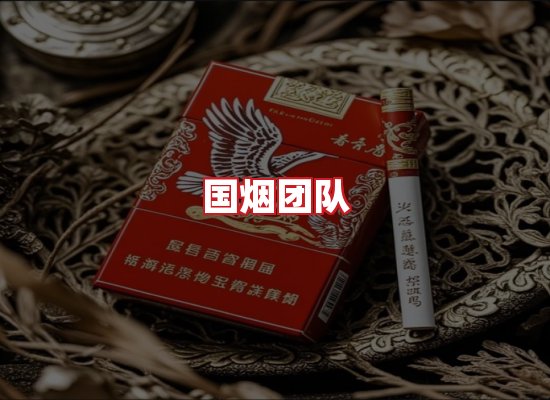 国烟团队